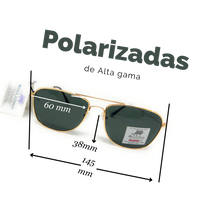 Cargar imagen en el visor de la galería, Lentes polarizadas de alta gama SWAP VE 68119 GD
