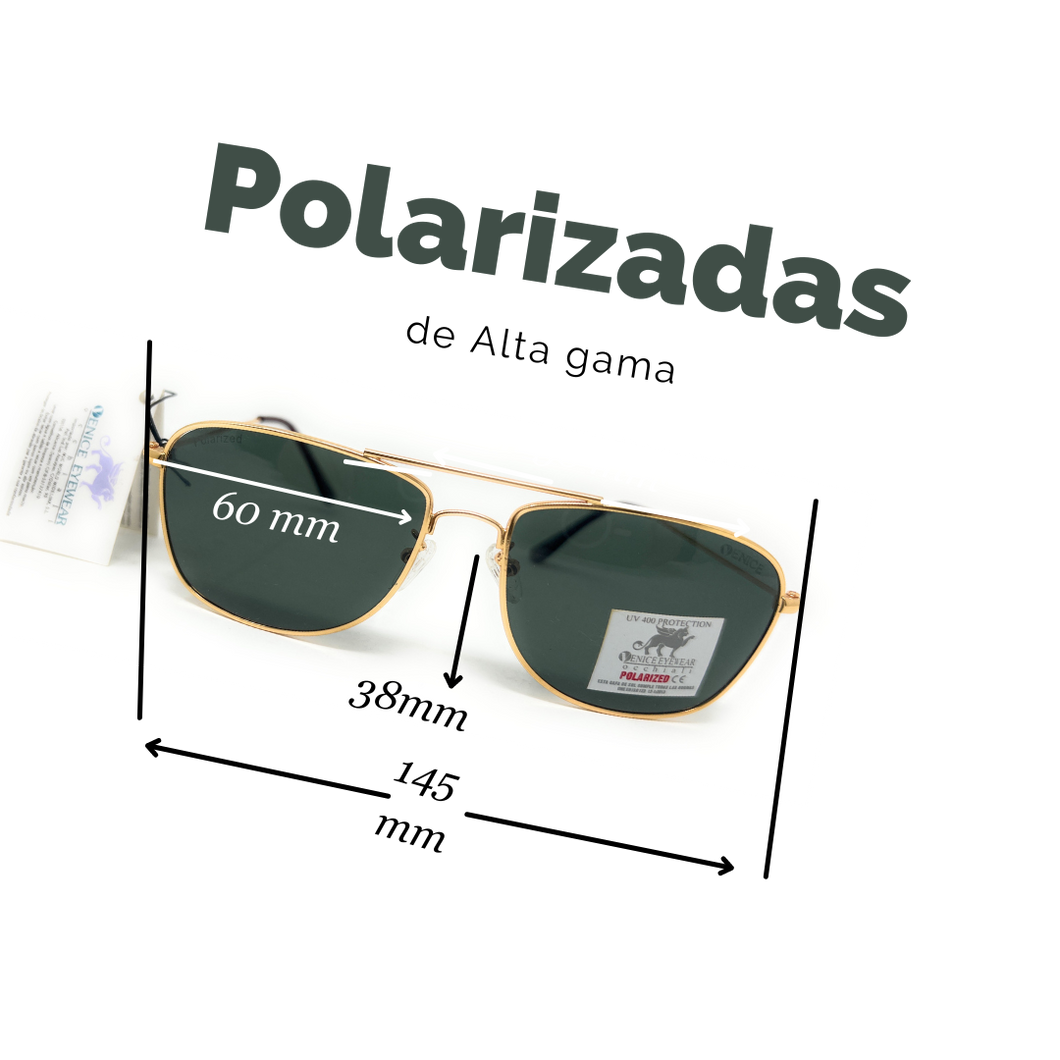 Lentes polarizadas de alta gama SWAP VE 68119 GD