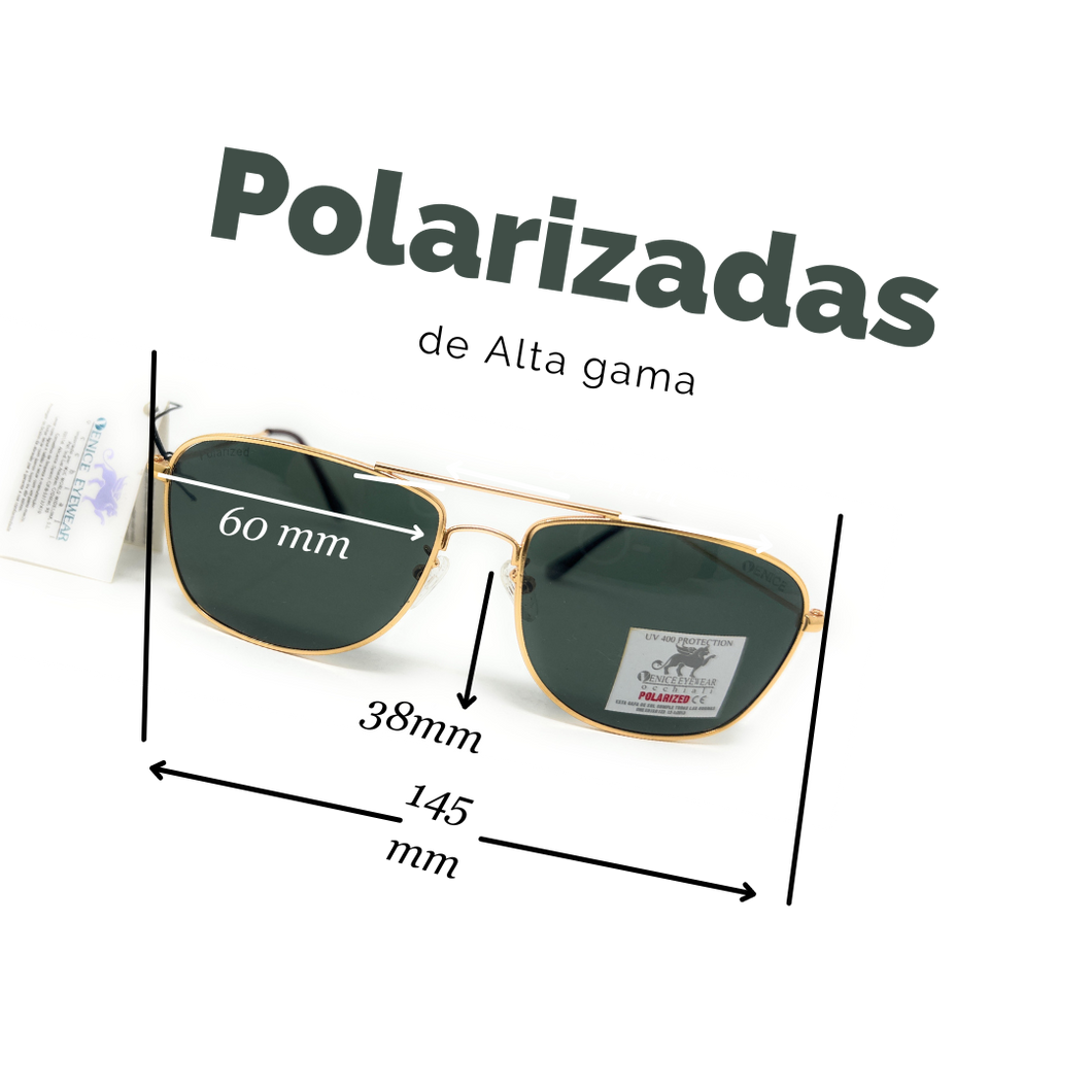 Hochwertige polarisierte Gläser SWAP VE 68119 GD